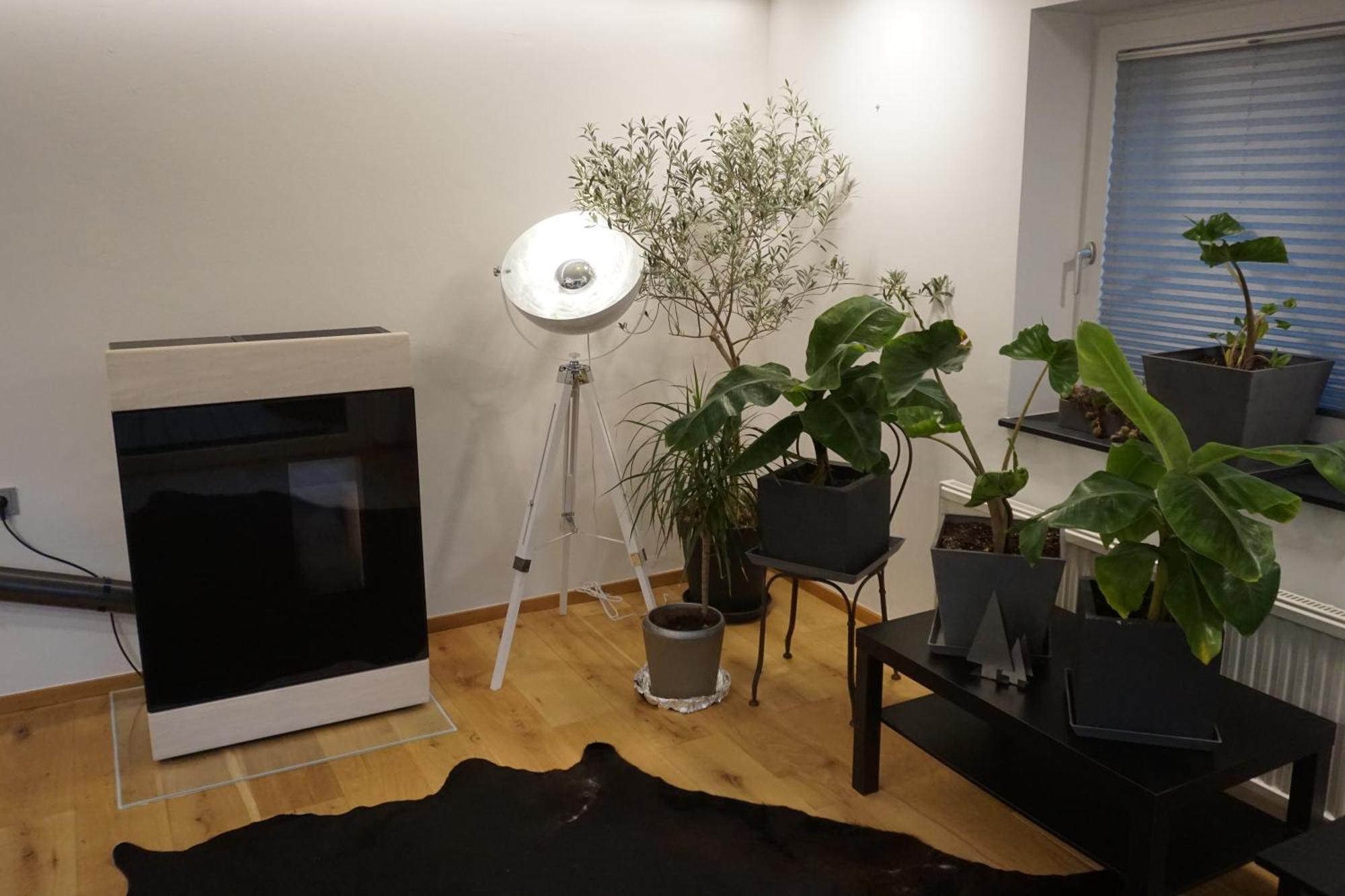Jagd Trifft Moderne & Boutique Jardin Ferienhaus Annaberg im Lammertal Buitenkant foto